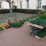 IMG_20260330_085357_1